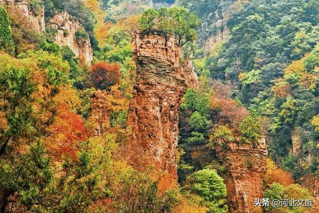 漫山红叶等你来赏，感受秋日兴隆山里的惬意时光