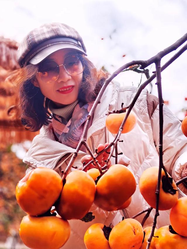 桂林：不入柿园，怎知秋色几许！