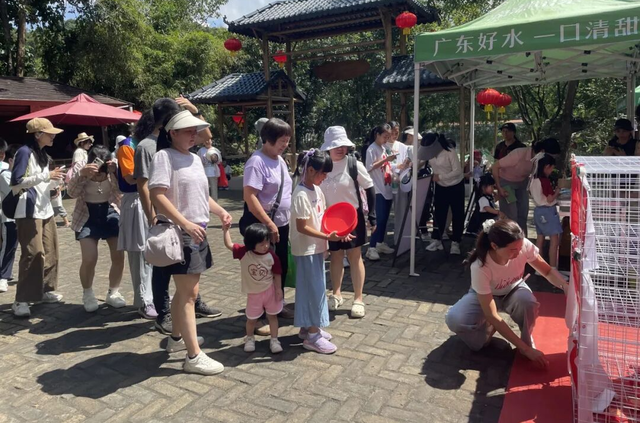 双节揽客38万+人次！肇庆文旅“实力圈粉”，暖心服务成最美风景线！