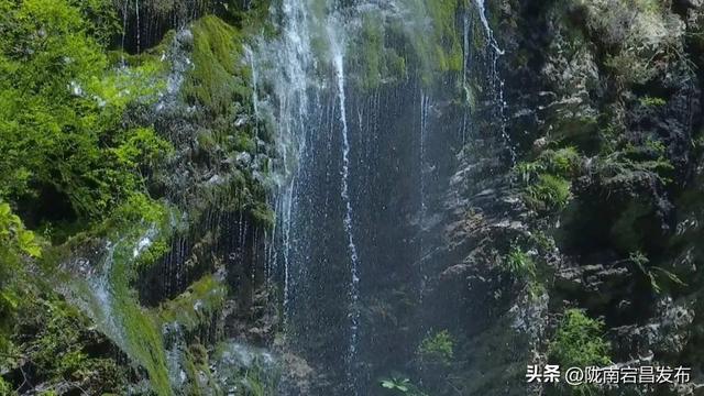 避暑胜地·康养宕昌｜娥嫚引我入青绿，共赏官鹅盛夏私语