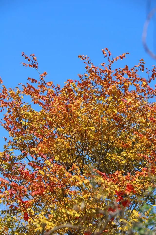 致敬时代记录者 ┃中国记者节熊耳山专属邀约