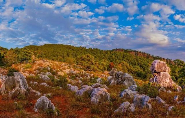 冬天到攀枝花晒太阳是定律来的！