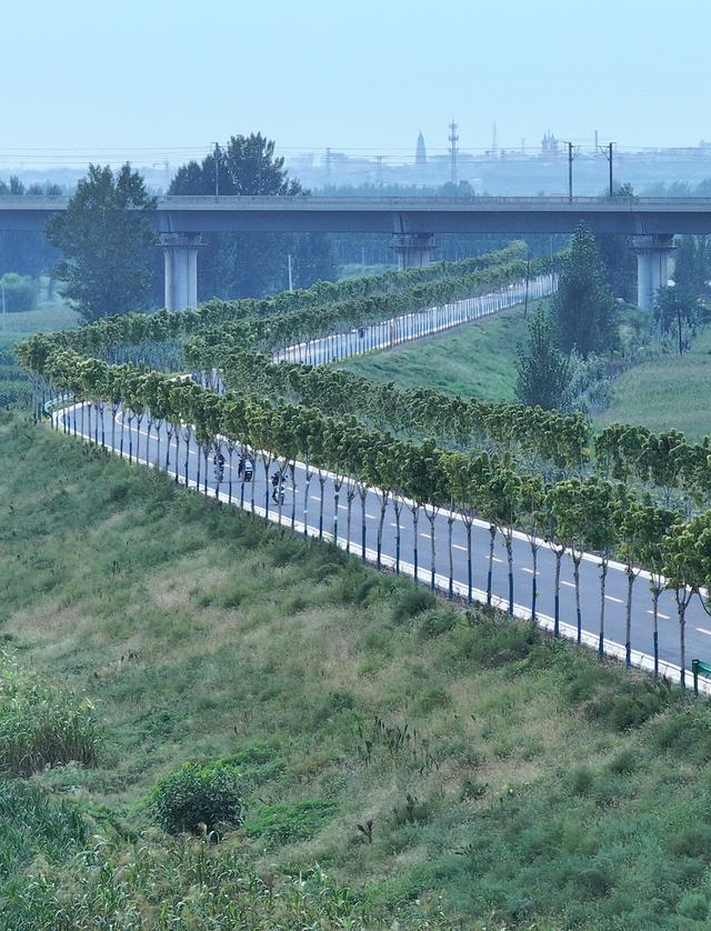 #运城头条#山西运城：黄河一号旅游公路秋色如画