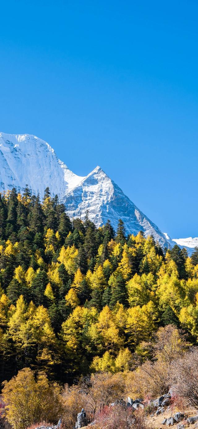 手机壁纸|秋天自然绝美风光美景