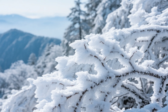 银色世界，雪中禅意：峨眉山的冬天美成了佛国仙境