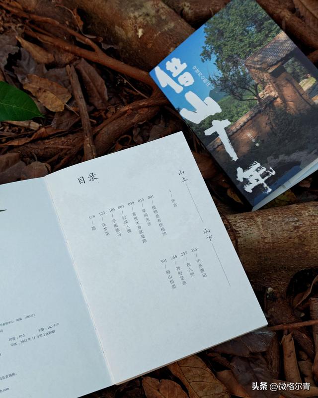 在终南山上隐居十年，是一种什么体验？