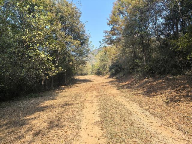 南京龙尚湖，大连山，佘村一日郊野徒步
