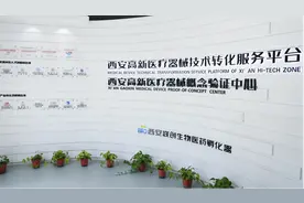 “深化营商环境突破年”系列报道（三）丨西安高新区：强化“四个支撑”构建产业发展新生态图片