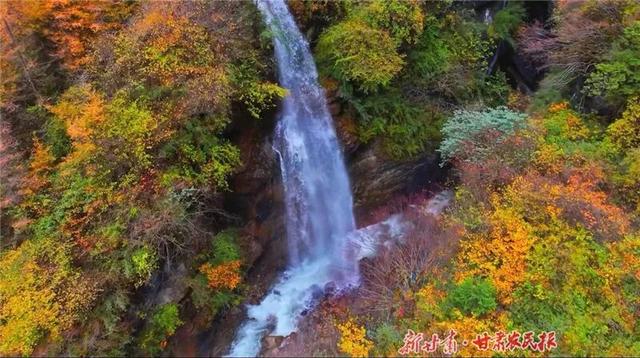 叮～你有一份官鹅沟秋日限定惊喜，请及时签收
