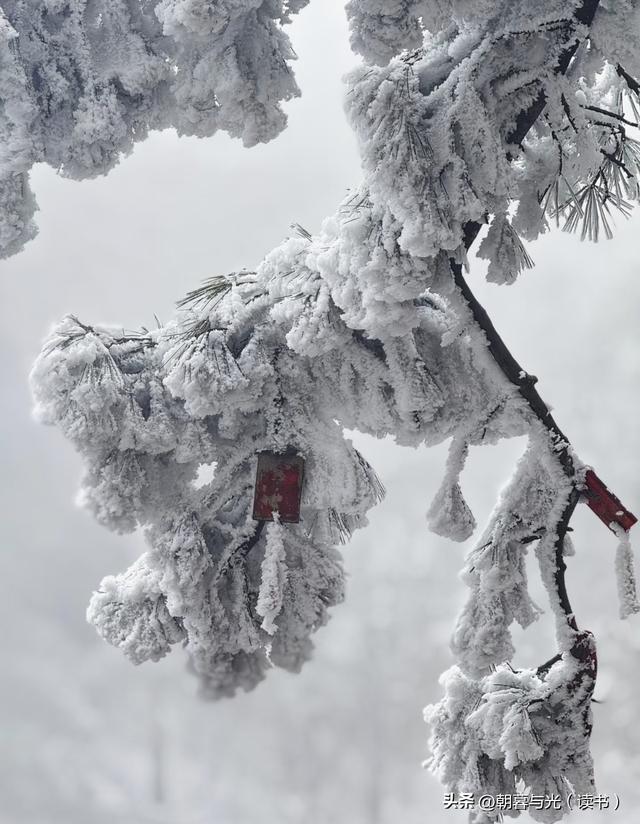 老君山今冬首场雪如期而至，幻化人间仙境