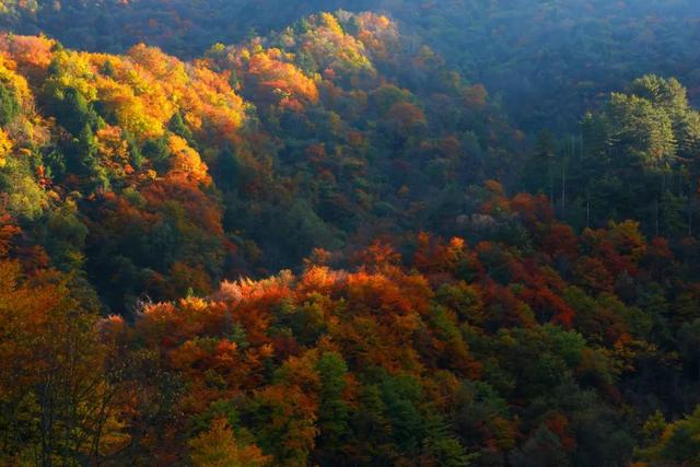 太洋公路已通车！去黄柏塬赏秋现在就出发！