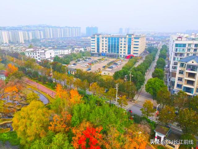 河南淮滨：初冬文化园更艳丽