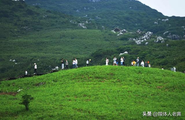 六盘水“贵州屋脊”韭菜坪清凉气候吸引各地游客赏景避暑游