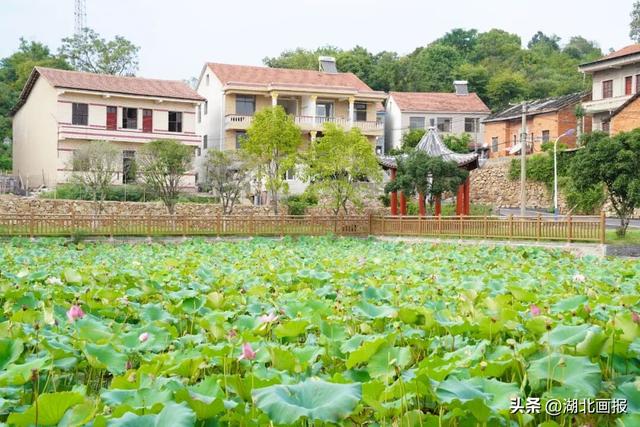 乡愁峒山新十大文旅场景发布！