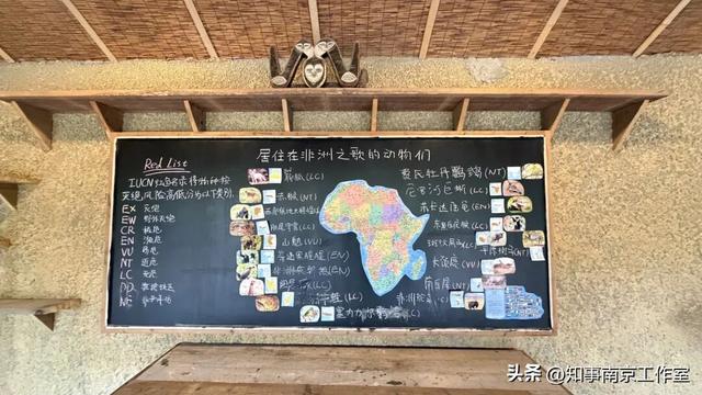 降温天逛红山动物园有多爽？