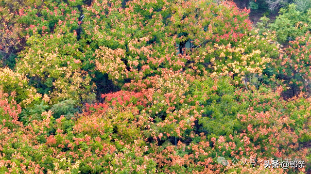 涉县：美拉德配色里，藏着橙黄橘绿的诗意