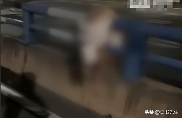 重庆摩托飙车2人死亡，现场惨烈，女子挂护栏，目击者称早有预兆