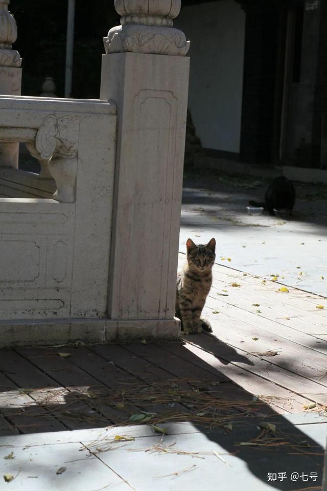 在八大处，寻到了北京最美的秋