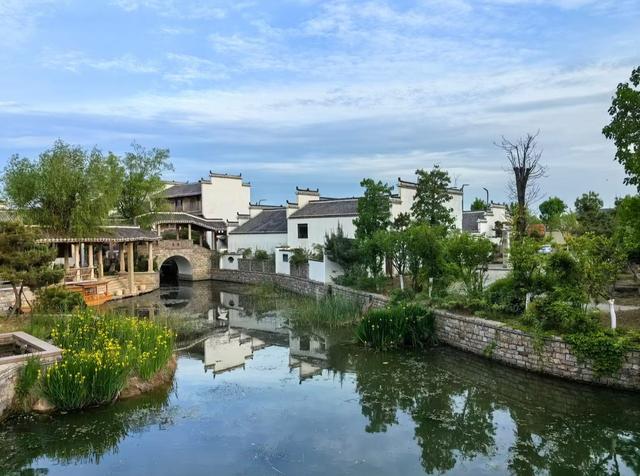 周末好去处 | 被临沂暖到 流泪！