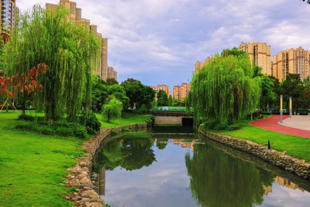 河畅水清景美！郫都母亲河“焕颜”，解锁亲水宜居新体验