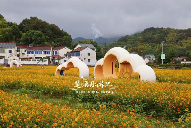 浙江宁波这片花海又火了，烟雨中更有诗画意境，周边民宿也很优美
