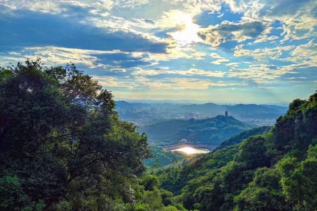 打卡宝藏景区观音山，闯入森林氧吧，开启一场望峰息心，康养之旅