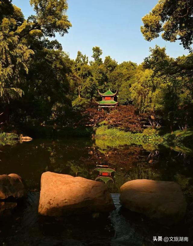热浪来袭？长沙这些地方，承包你一整天的清凉