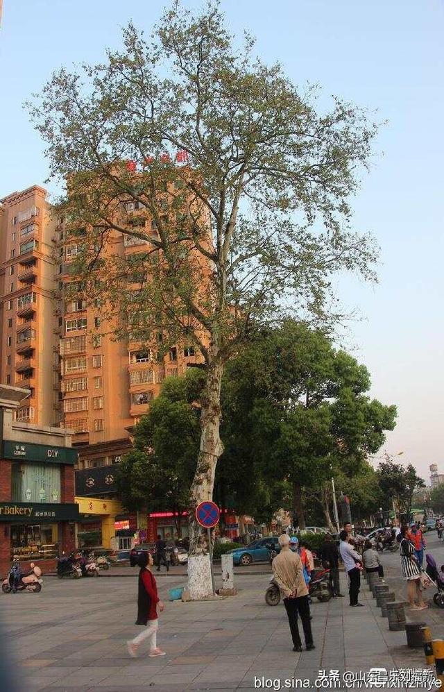 景德镇人民公园观后（江西之旅第三十篇）