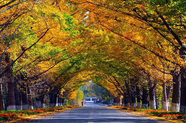 我国改名“最失败”的5座城市，古名自带气场，改了就“降级”了