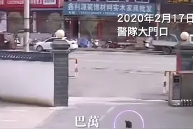 流浪小奶狗“巴万”独闯特警队，后续怎么样了？图片