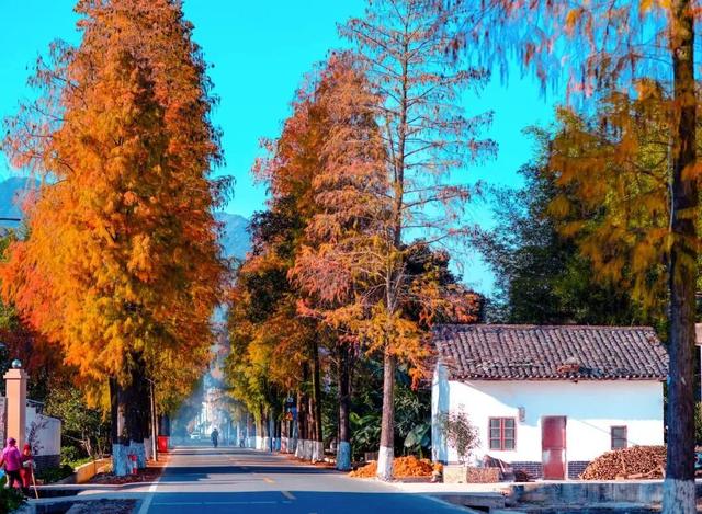 美如仙境！韶关这个地方迎来今年首场冰挂雾凇景观，秋冬来旅行，赏雪泡泉看红枫为你安排好了