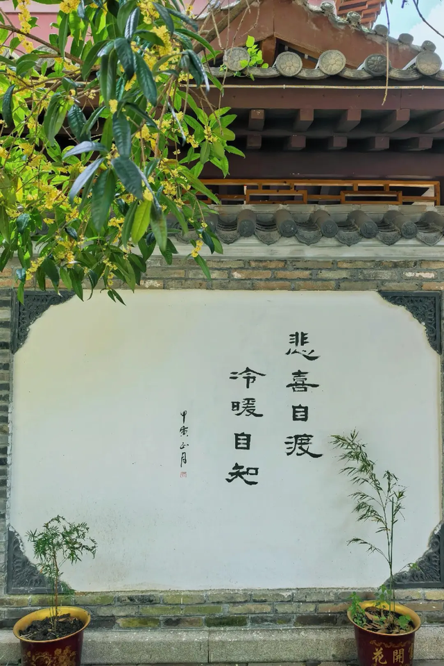 据说是全成都最好吃的斋饭，还能免费蹭课、打坐、诵经，周末走起