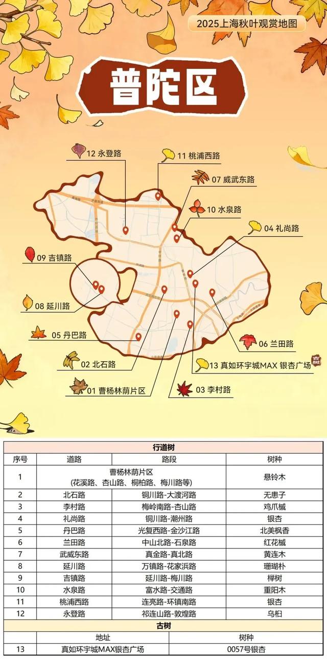 2025上海秋叶地图出炉，徐汇这些点位不可错过！