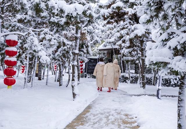 威海荣成“那香海第二届天鹅童话节”来了！ 邀您闯入有雪有海有天鹅的冬日胜境~