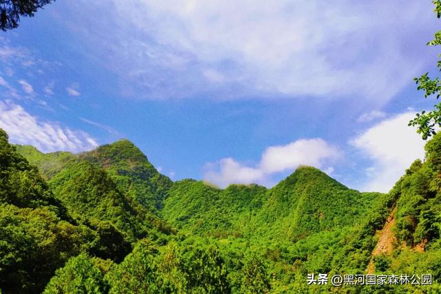 身体和心灵总有一个在路上 | 这个秋天，一起观赏黑河的山川湖海