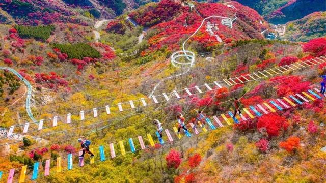 南有琅琊古城｜北有红叶柿岩，解码文旅双星炼成记