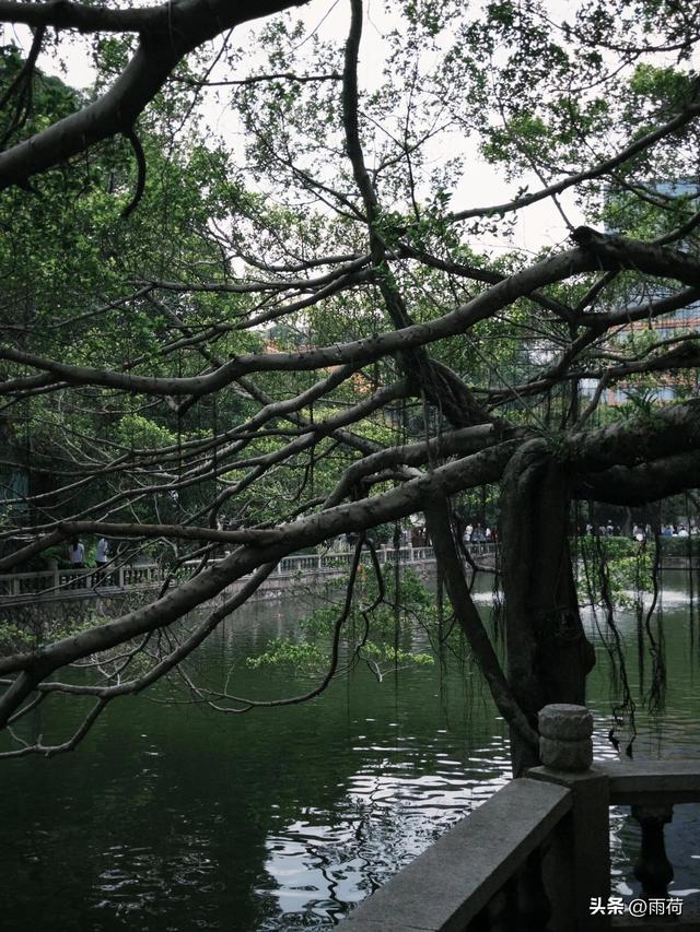 我是上海人，去了趟福建福州，不吹不黑，福州比网上评价的还要好