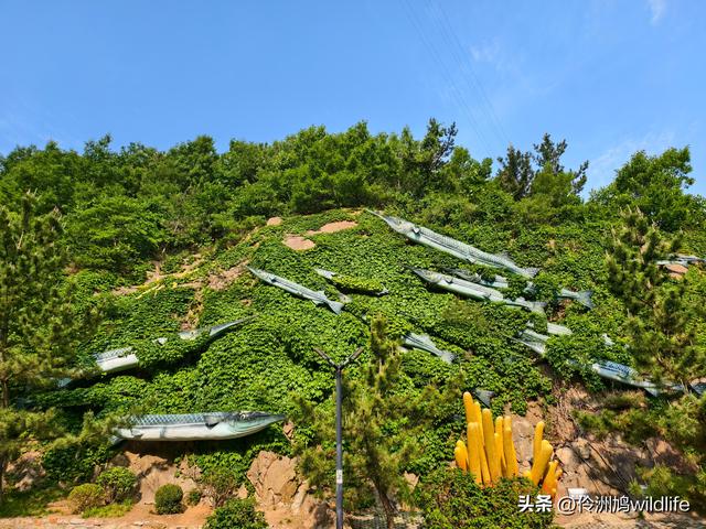 大连海之韵公园·棒槌岛