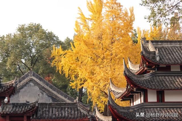 25首传世七言绝句：诗短情长皆情义，岁岁滋养中华魂，建议收藏