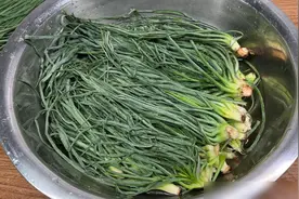 这菜全身都是宝，可惜好多人当草，肠胃不好多吃点，蒸一蒸特香！图片