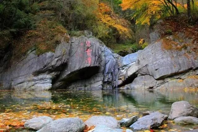 我竟然发现，唐家河红叶居然如此好看！