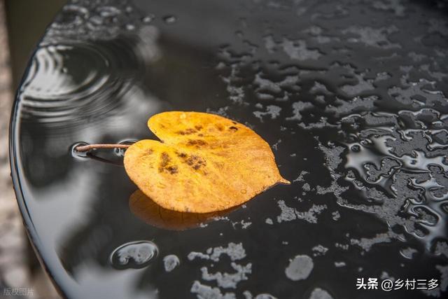 老话“雨淋中秋节，寡妇也发愁”，是啥意思？中秋下雨有啥预兆？