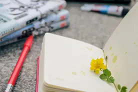 2025湖北省排名前十的专科大学！含最好最值得上的专科大学分数线图片