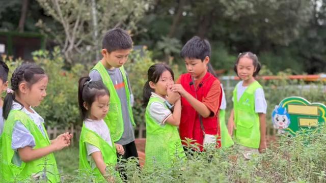 “谷粒学堂”品牌活动启航！首期亲子探秘——龙王山奇遇记