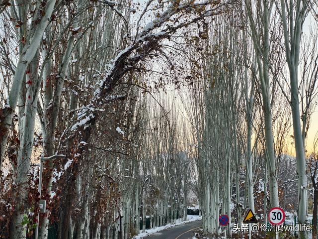 新疆乌鲁木齐红光山大佛寺