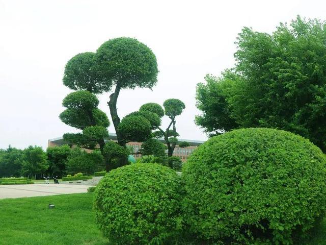 在长春，遇见“多巴胺”夏天