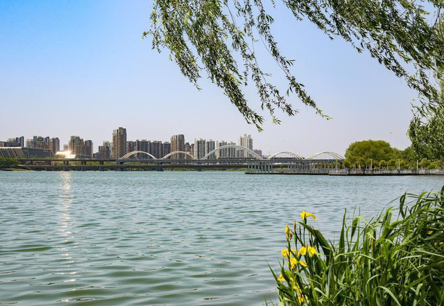 灞桥折柳、曲江流饮，这些路名藏着唐诗密码……