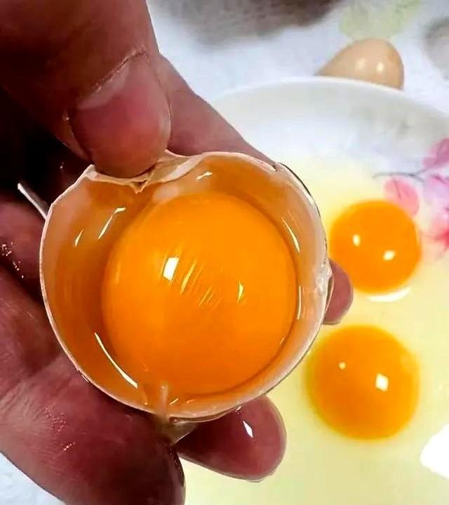 比地沟油更可怕！这种鸡蛋正在危害全家健康，需谨慎