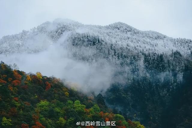 四川人盼初雪的心情谁懂！