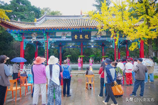 串联三大园区！昆明开通秋日观枫免费巴士